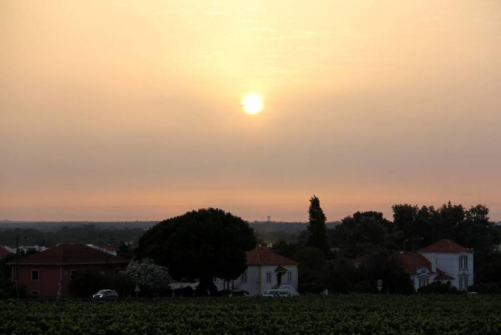 Vila Nogueira de Azeitão, uma das Best Villages da UN