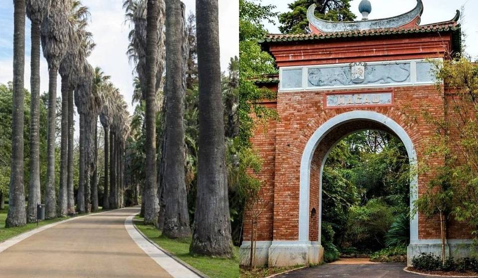 Lisbon’s ‘green lung’ is a National Monument and an exotic refuge with more than 600 plants from (almost) all over the world.