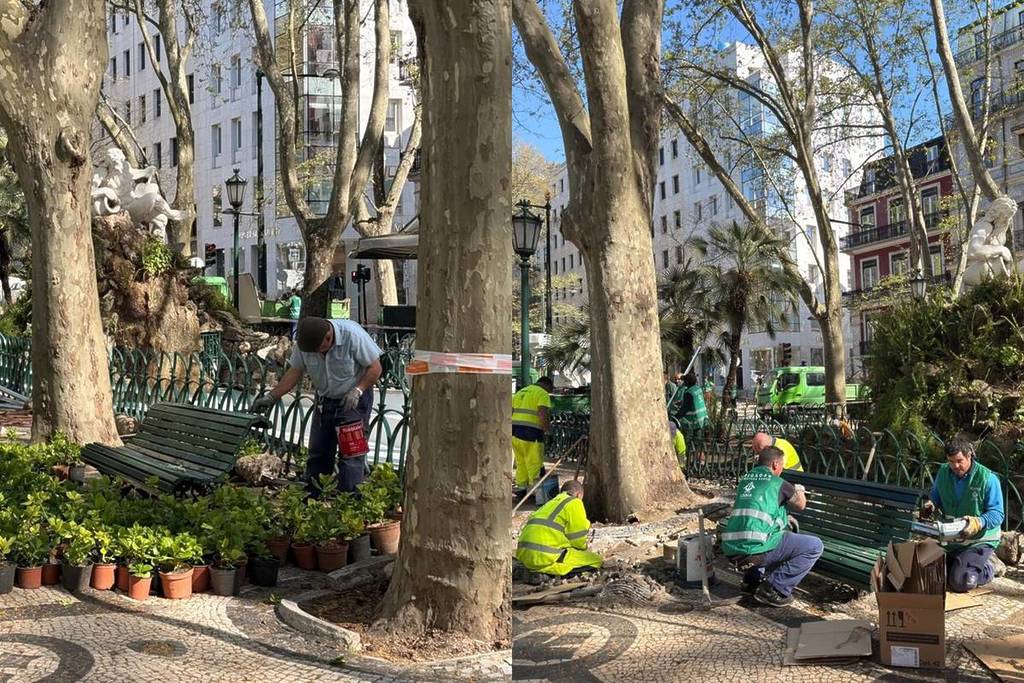 cantoneiros no Lago Tejo, na Avenida da Liberdade 
