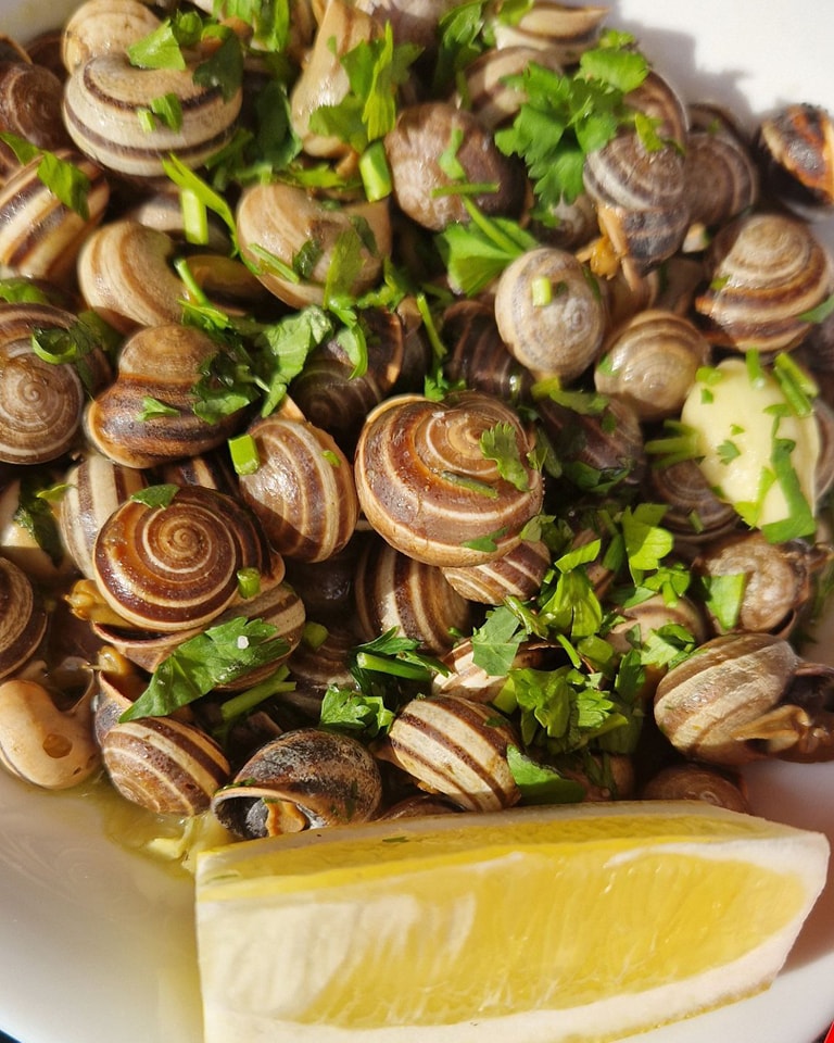 des escargots au festival des escargots saloio à Loures