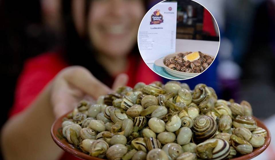 A apenas 20 minutos de Lisboa arrancou o festival de caracóis mais criativo do país: há chili, rissóis e até empadas desta iguaria até ao fim de julho