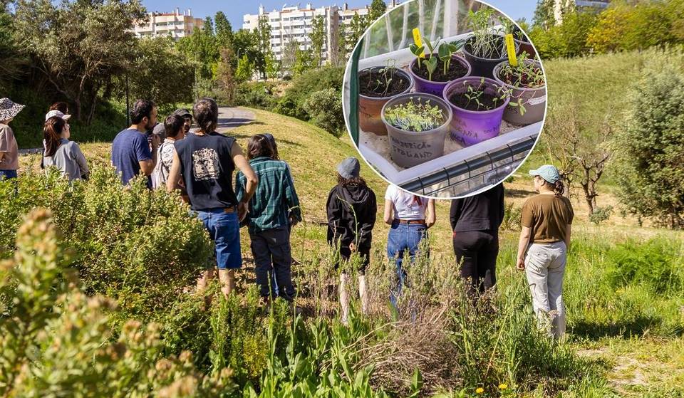 Lisboa esconde dezenas de jardins privados atrás de muros altos: contamos-te como visitá-los de borla em maio