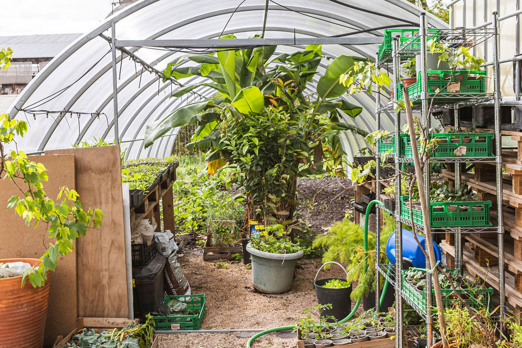 los rincones de jardinería en una visita del festival Jardines Abiertos
