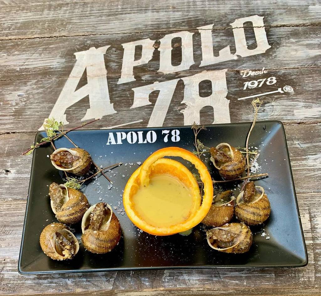 caracoletas fritas no apolo 78