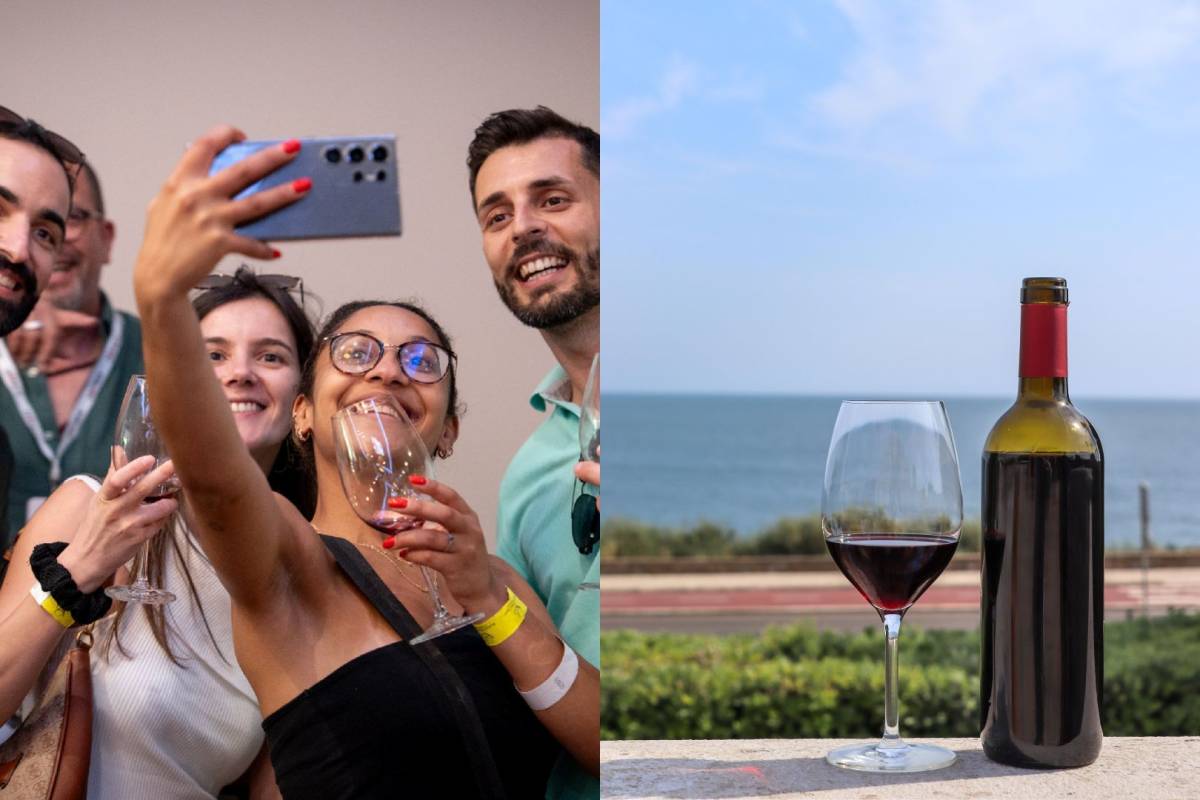 The doors open this Saturday: Cascais hosts a festival with more than 300 wine tastings from national producers (and places are limited)