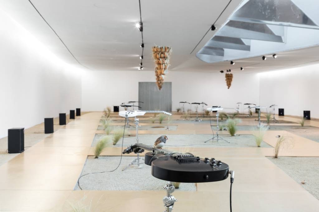Exposición de Céleste Boursier-Mougenot: «from here to ear» 