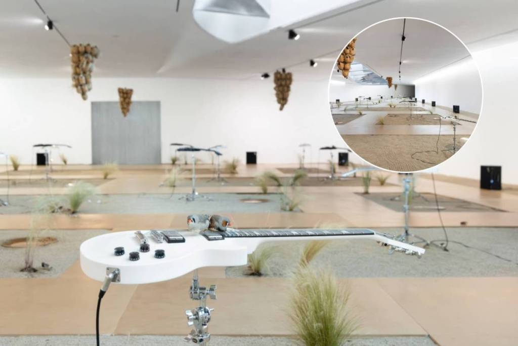 Exposición de Céleste Boursier-Mougenot: «from here to ear»