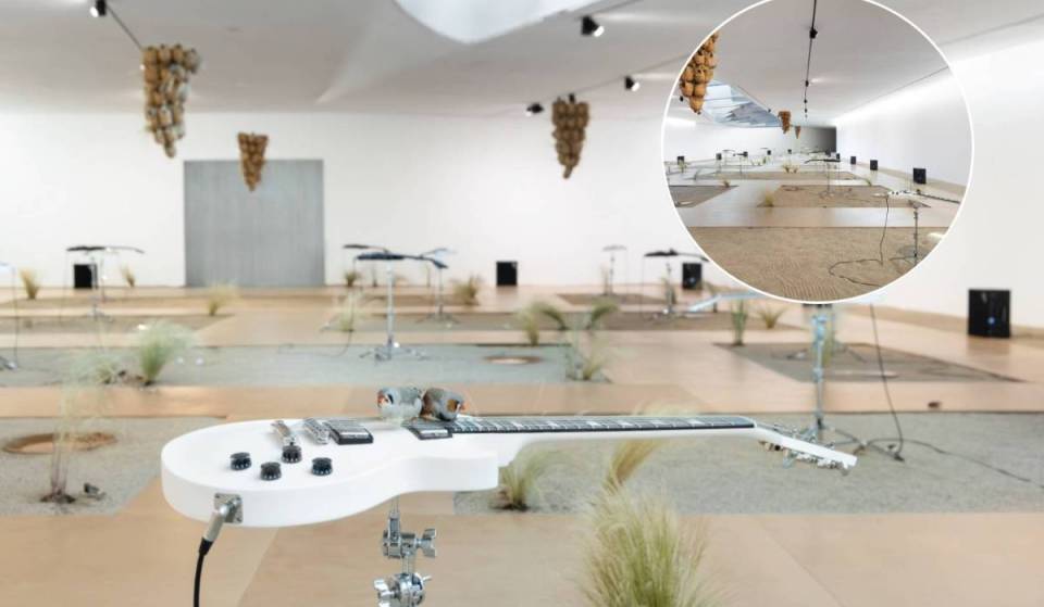 100 pássaros soltos e 20 guitarras elétricas: a nova exposição do MAAT é um concerto contínuo onde a música nunca se repete e reage aos passos do público