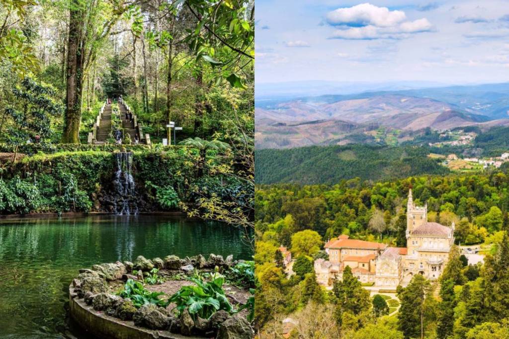 Der Nationalwald von Bussaco ist ein Nationaldenkmal und ein Heilwald
