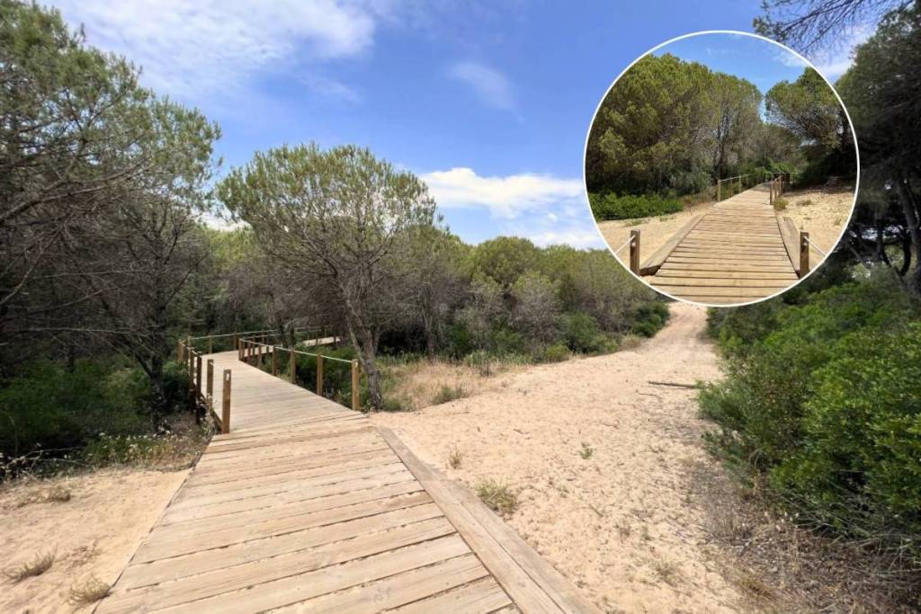 A menos de 30 minutos de Lisboa hay un bosque nacional centenario con un nombre que da miedo, pero la realidad es otra: 340 hectáreas de naturaleza, observación de aves y unas vistas dignas de Instagram sobre el Atlántico