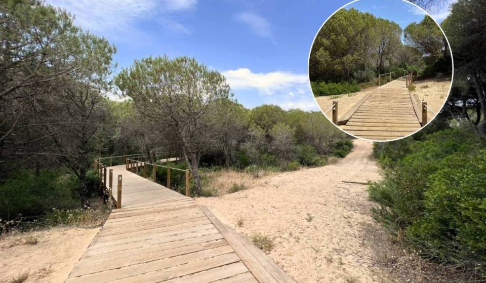 A menos de 30 minutos de Lisboa hay un bosque nacional centenario con un nombre que da miedo, pero la realidad es otra: 340 hectáreas de naturaleza, observación de aves y unas vistas dignas de Instagram sobre el Atlántico