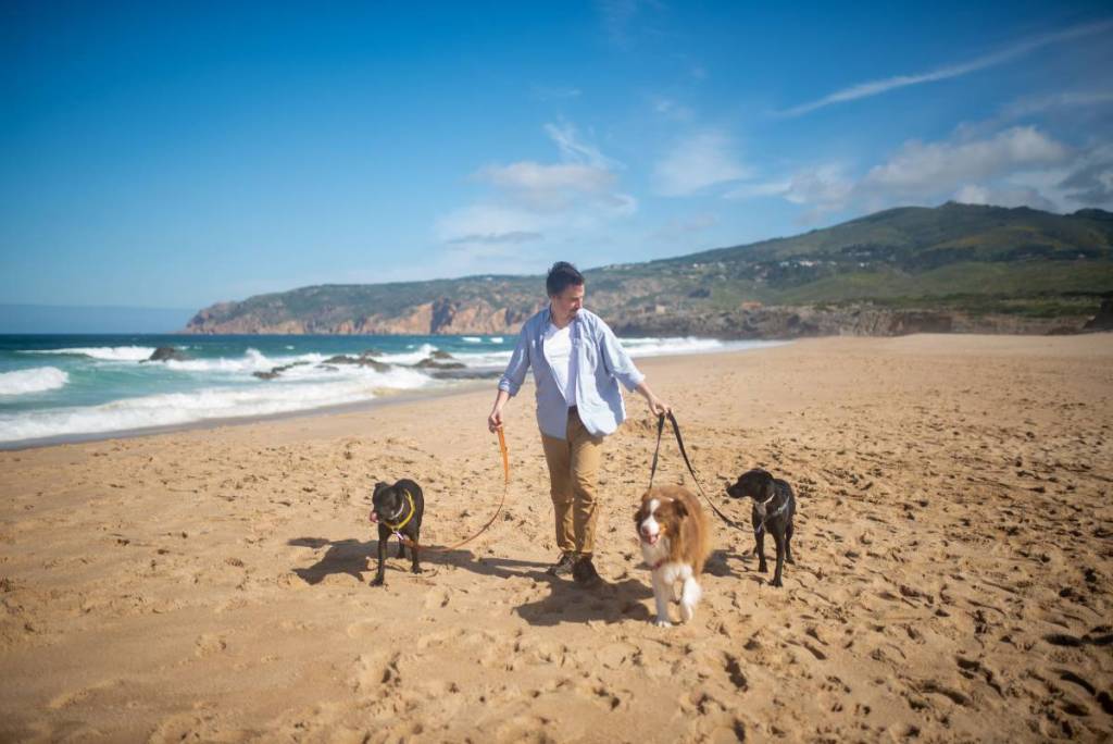 homem a passear dois cães na praia 