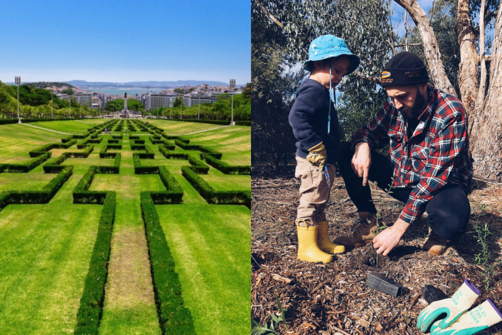 Parco Eduardo VII + padre e figlio in un’area di permacultura, mentre piantano un albero
