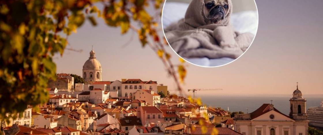 O adeus definitivo ao verão e a tão desejada hora extra de sono: os relógios em Portugal atrasam em outubro