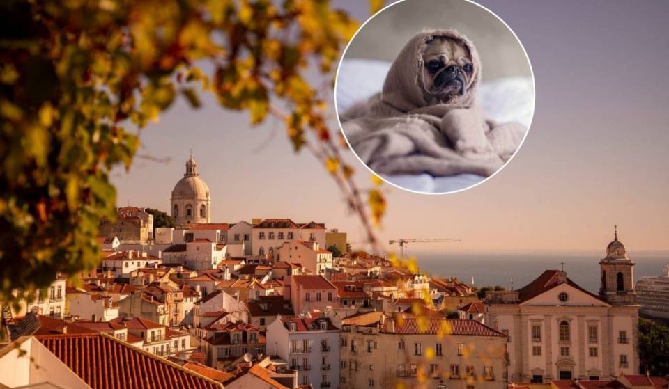 The final farewell to summer and that much-desired extra hour of sleep: clocks in Portugal are set back in October