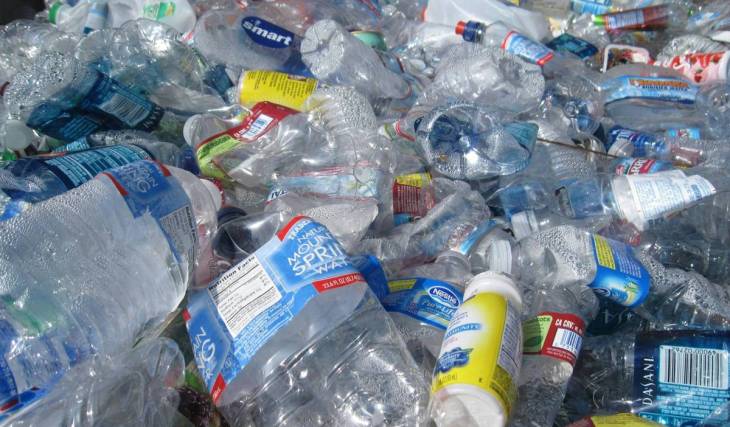 Mais de 450 milhões de garrafas e latas já foram devolvidas em seis meses; o sis
