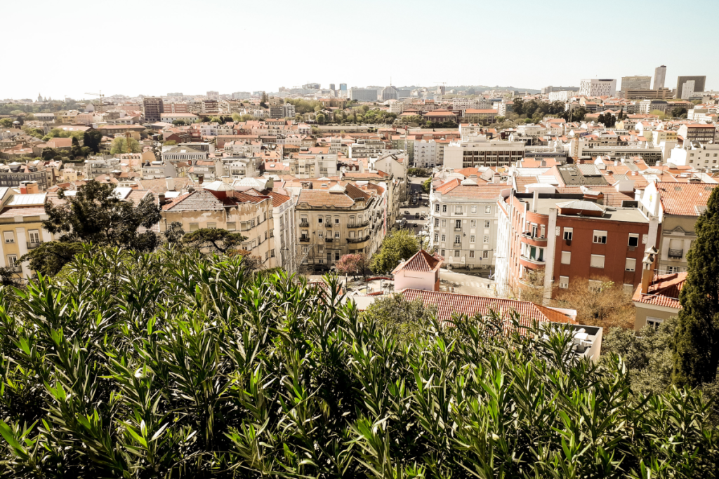 Monte Agudo