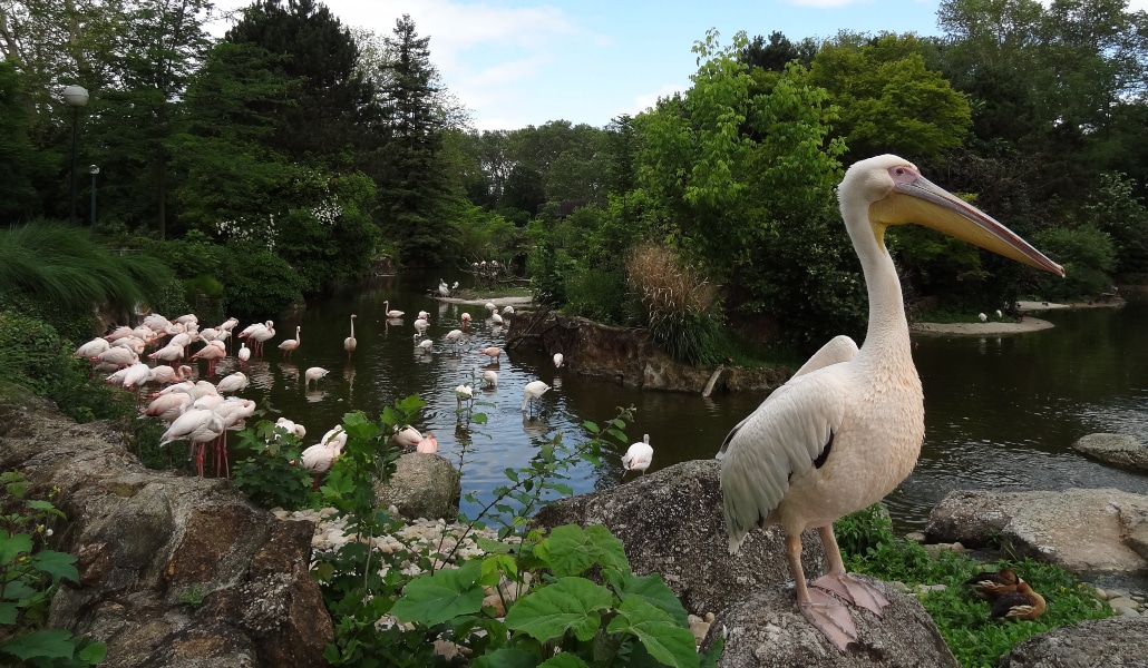 Six nouveaux parcs de Lyon ouverts dès 6h30 du matin durant l'été