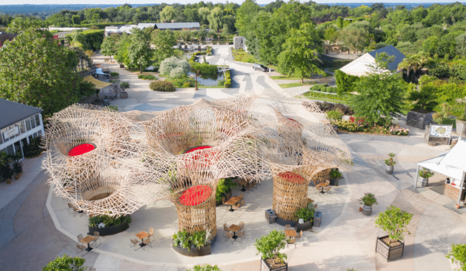 Insolite : un atelier lyonnais crée la plus grande structure en bambou d’Europe !