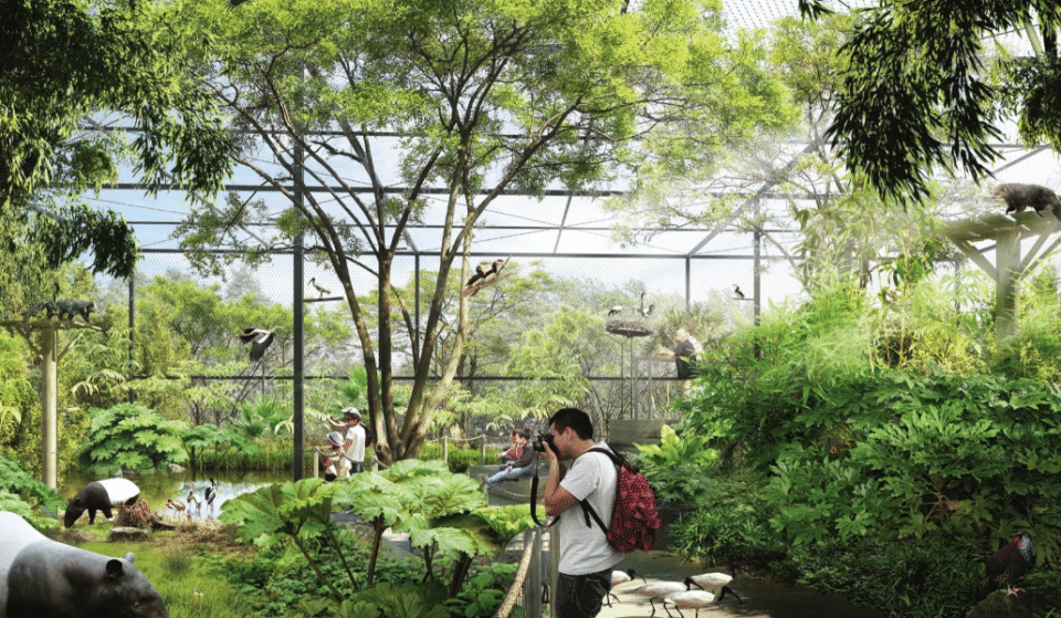 Découvrez en images les futures Forêts d’Asie au Parc de la Tête d’Or !