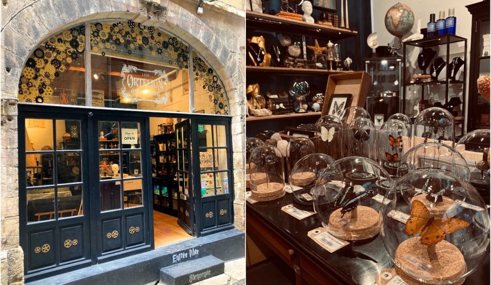 Un incroyable cabinet de curiosités a ouvert dans le Vieux-Lyon !