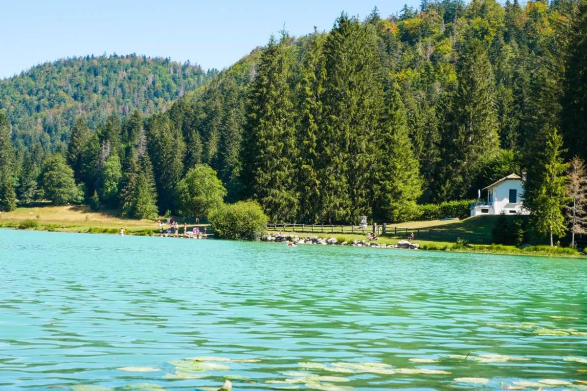Lac Genin