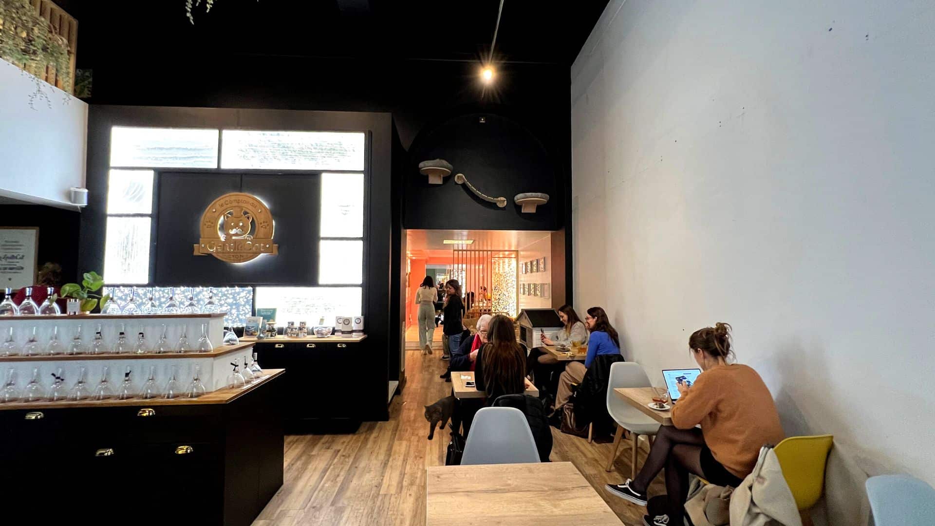 On a testé le GentleCat, le bar à chats le plus cosy de Lyon ! Lyon Secret On a testé le GentleCat, le bar à chats le plus cosy de Lyon ! Lyon Secret