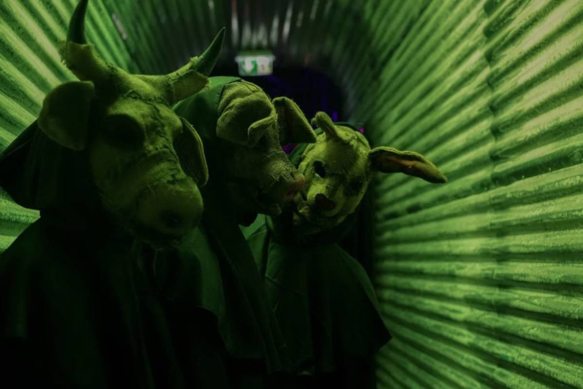 Koezio Halloween 2025