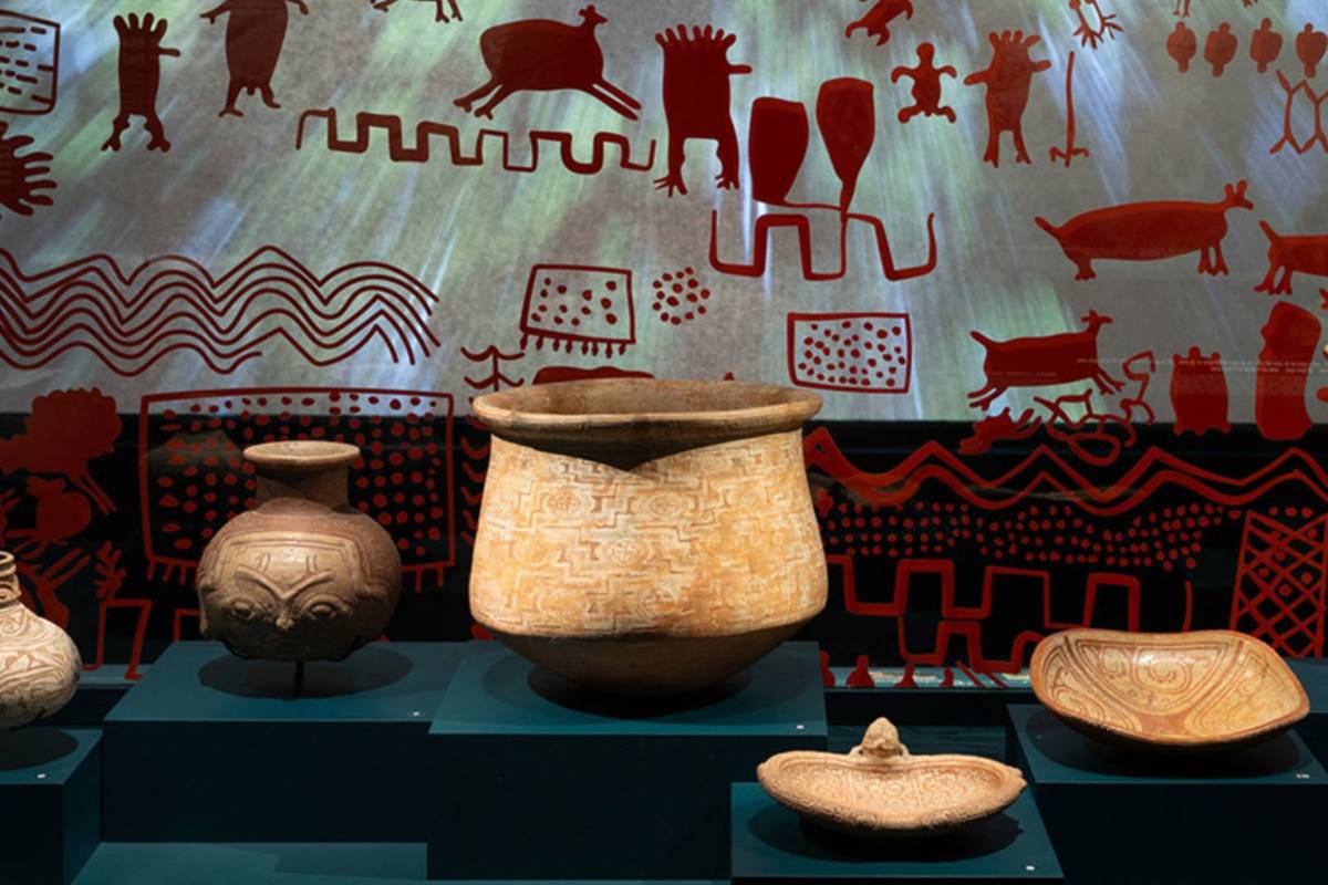 Amazonies - Musée des Confluences Lyon