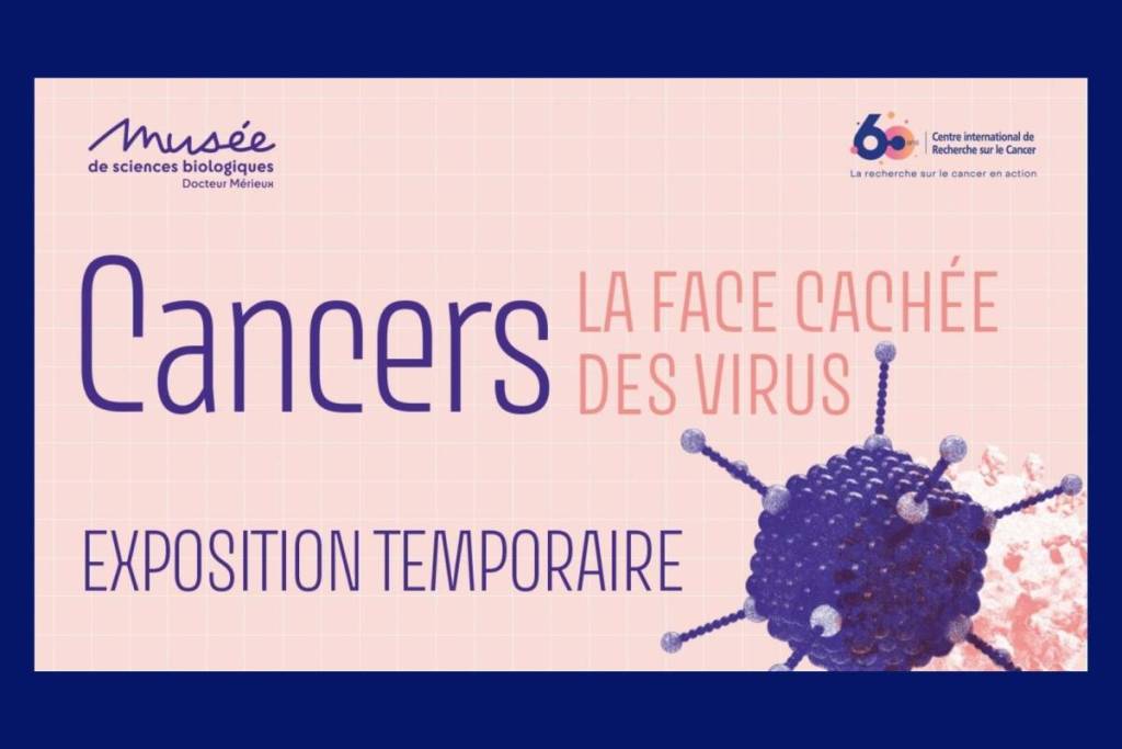 Cancers : la face cachée des virus 