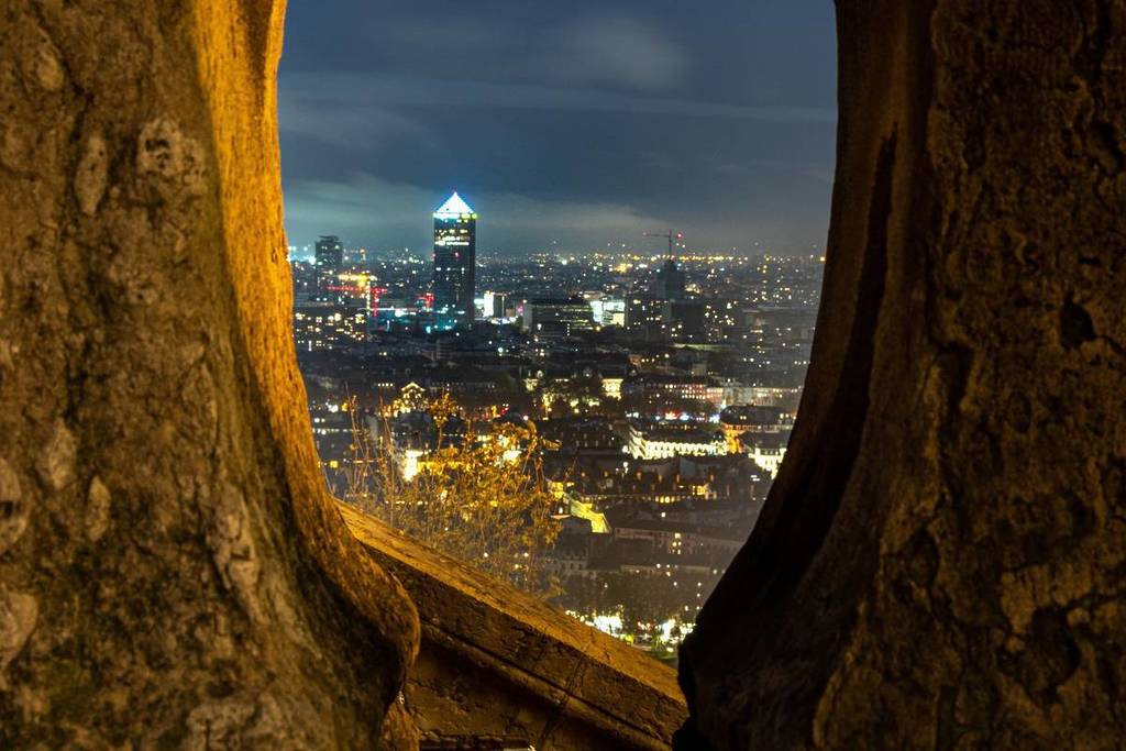 Lyon city center view