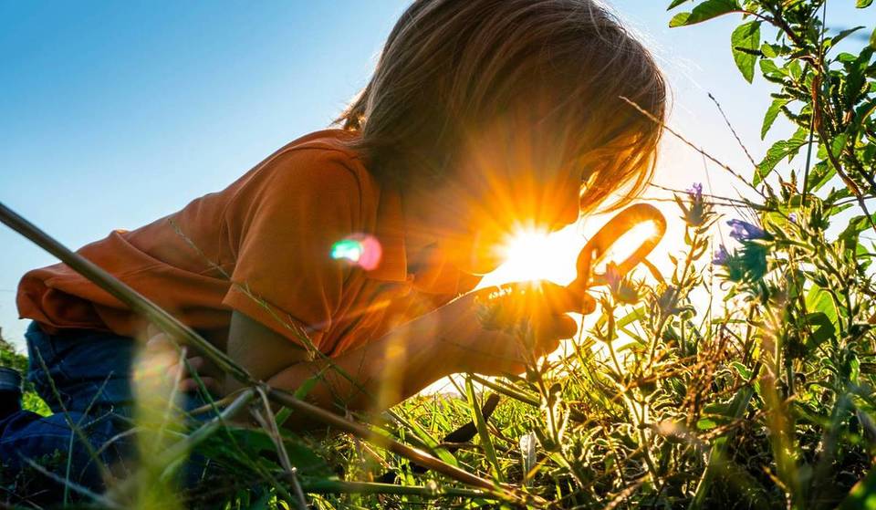 Un festival 100% gratuit pour petits et grands… rendez-vous en juillet au Parc de la Tête d’Or pour une bouffée d’air frais