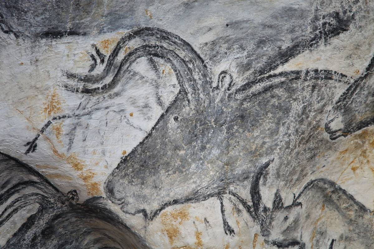 Grotte Chauvet