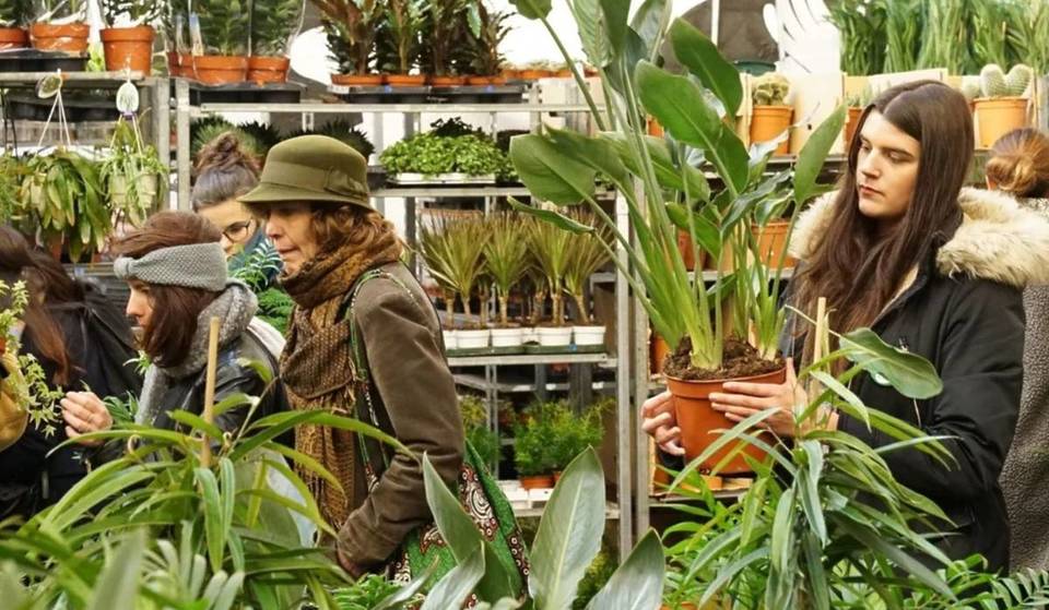 Moins cher qu&rsquo;un café : 150 variétés de plantes en vente flash à la Part-Dieu seront proposées à partir de 0,99€ lors d&rsquo;un immense destockage