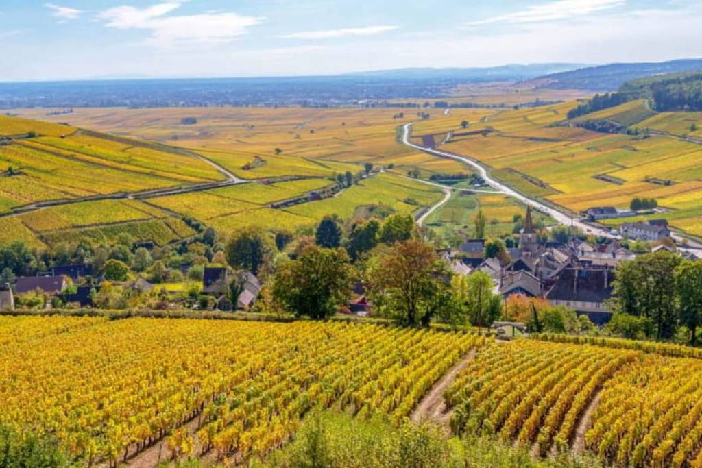 Nolay, France's favorite village?