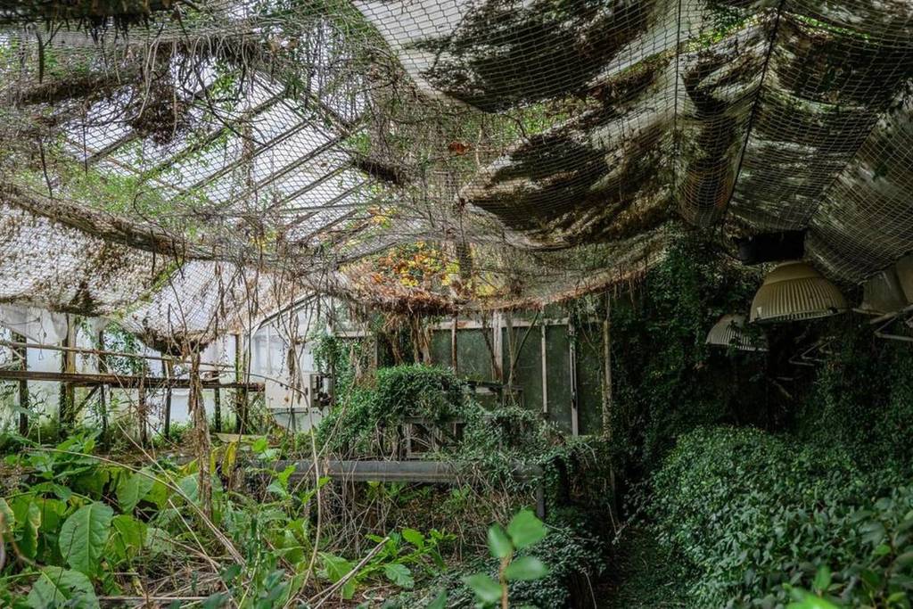 Les petites serres de Lyon