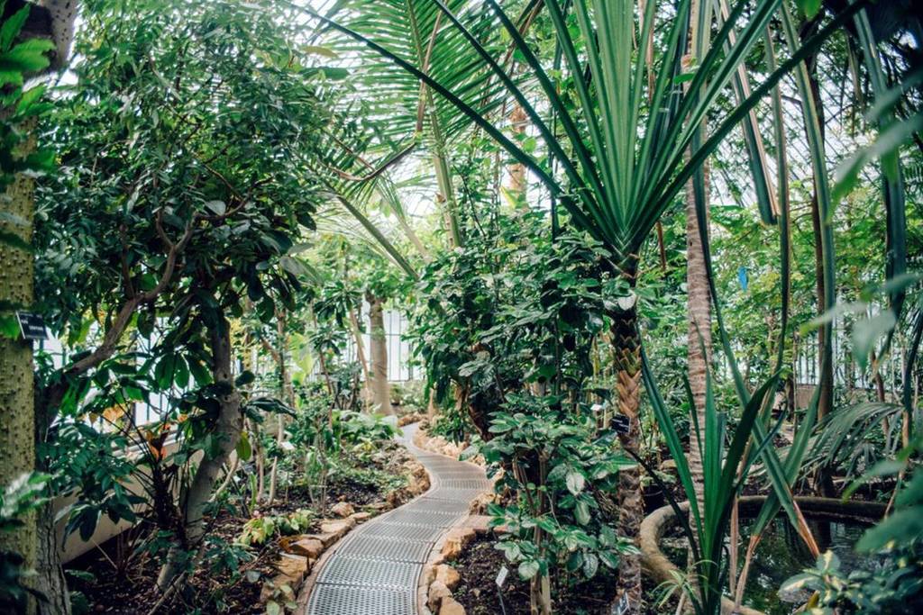 Les Grandes Serres de Lyon