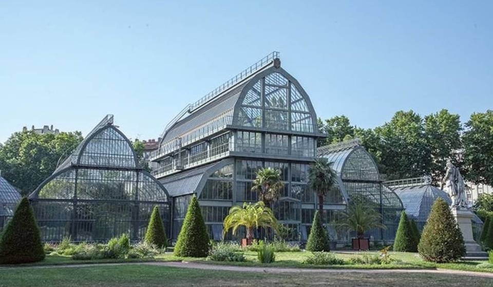 Avec leurs 21 mètres de haut, les serres du parc de la Tête d’Or ont beau avoir bientôt 150 ans, elles restent toujours les plus hautes de France – elles renferment plus de 900 espèces et leur visite est gratuite