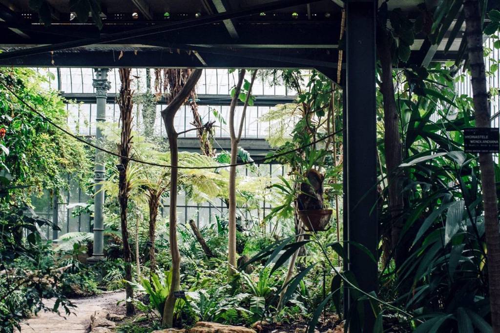 Les Grandes Serres de Lyon