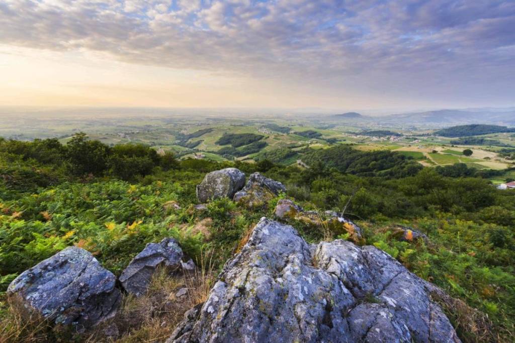Just an hour from Lyon, this family-friendly outing in a UNESCO-designated park lets you enjoy one of the region’s most beautiful views