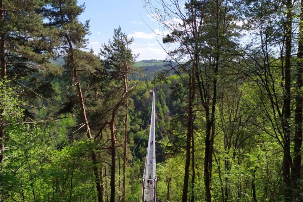 Gorges du Lignon Footbridge 