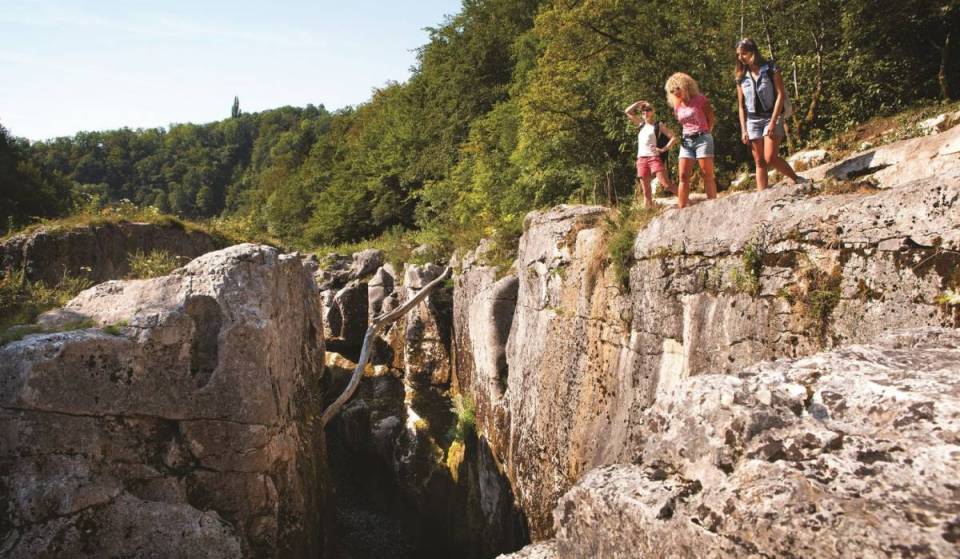 À 1h30 en train de Lyon, ce canyon cache un labyrinthe naturel avec une succession de cascades dans un environnement naturel unique en France : il a été le 1er cours d’eau labellisé « Rivières sauvages de France »