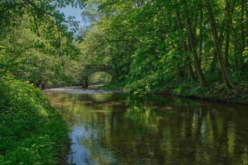 A 50-km hike along the Azergues River