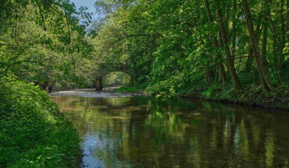 À deux pas de Lyon, près de 50 kilomètres de sentiers longent une rivière, vous permettant une randonnée au frais pendant cet épisode caniculaire