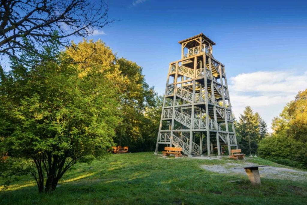Le Mont Saint Rigaud