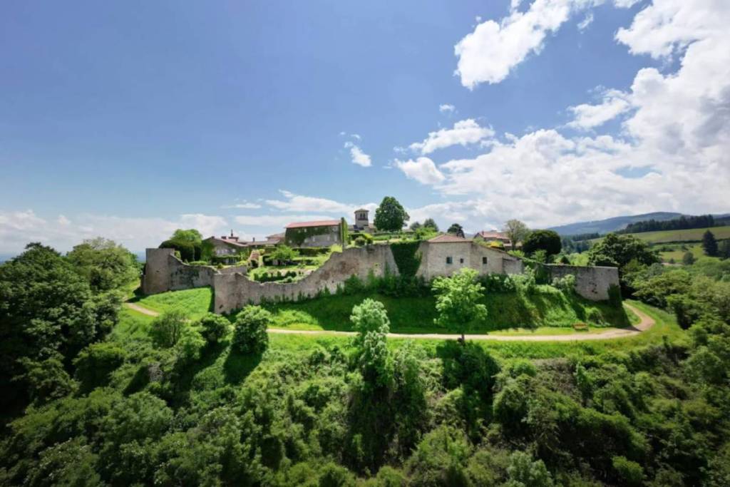 Saint-Haon-le-Châtel