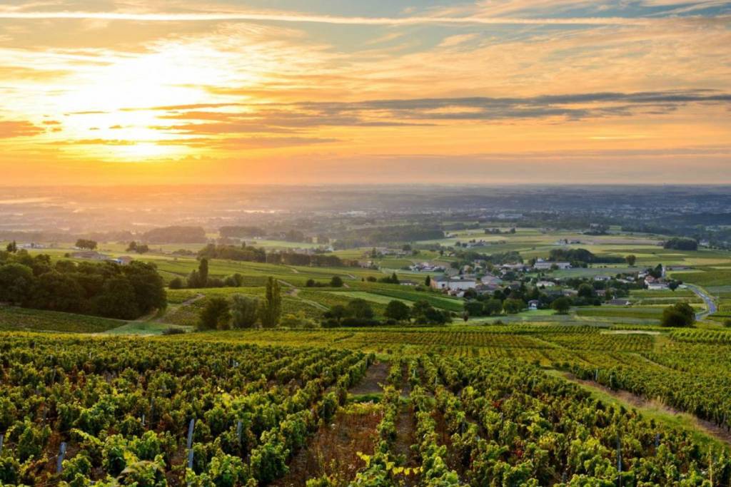 Beaujolais