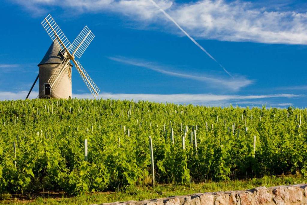 Moulin-à-vent Beaujolais