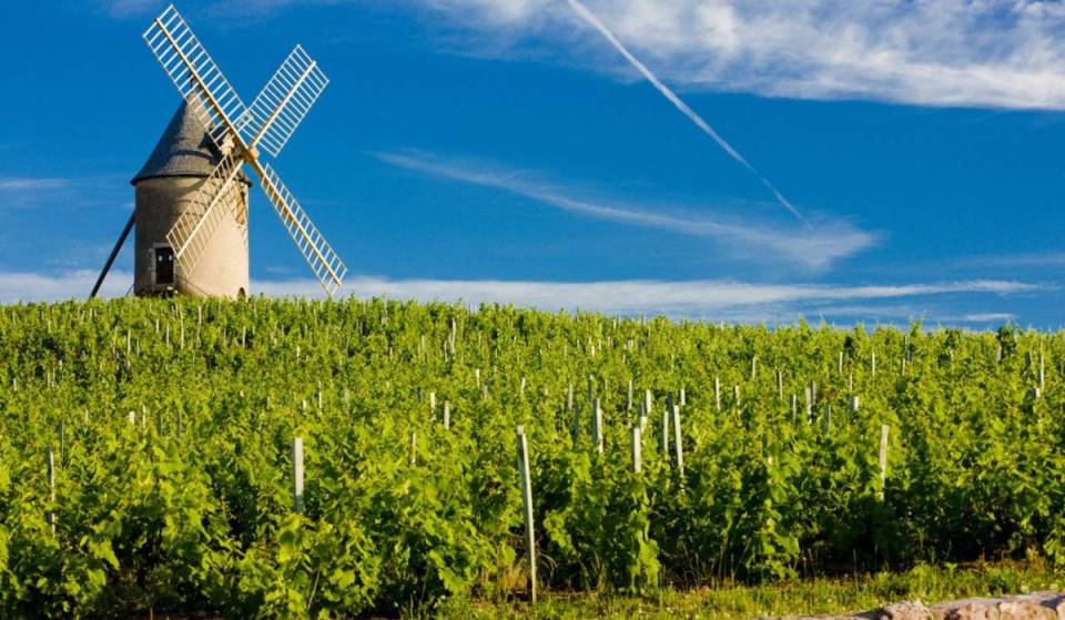 Just an hour from Lyon, this vineyard—symbolized by this 15th-century windmill, classified as a historic monument—is often considered the most prestigious in the Beaujolais region.