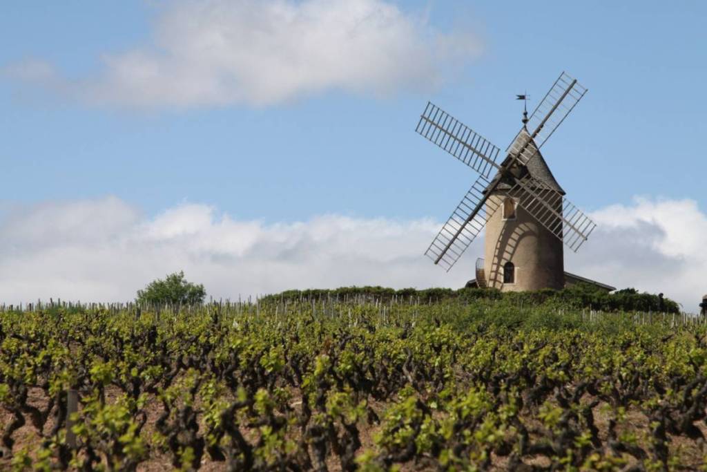 Moulin-à-vent Beaujolais